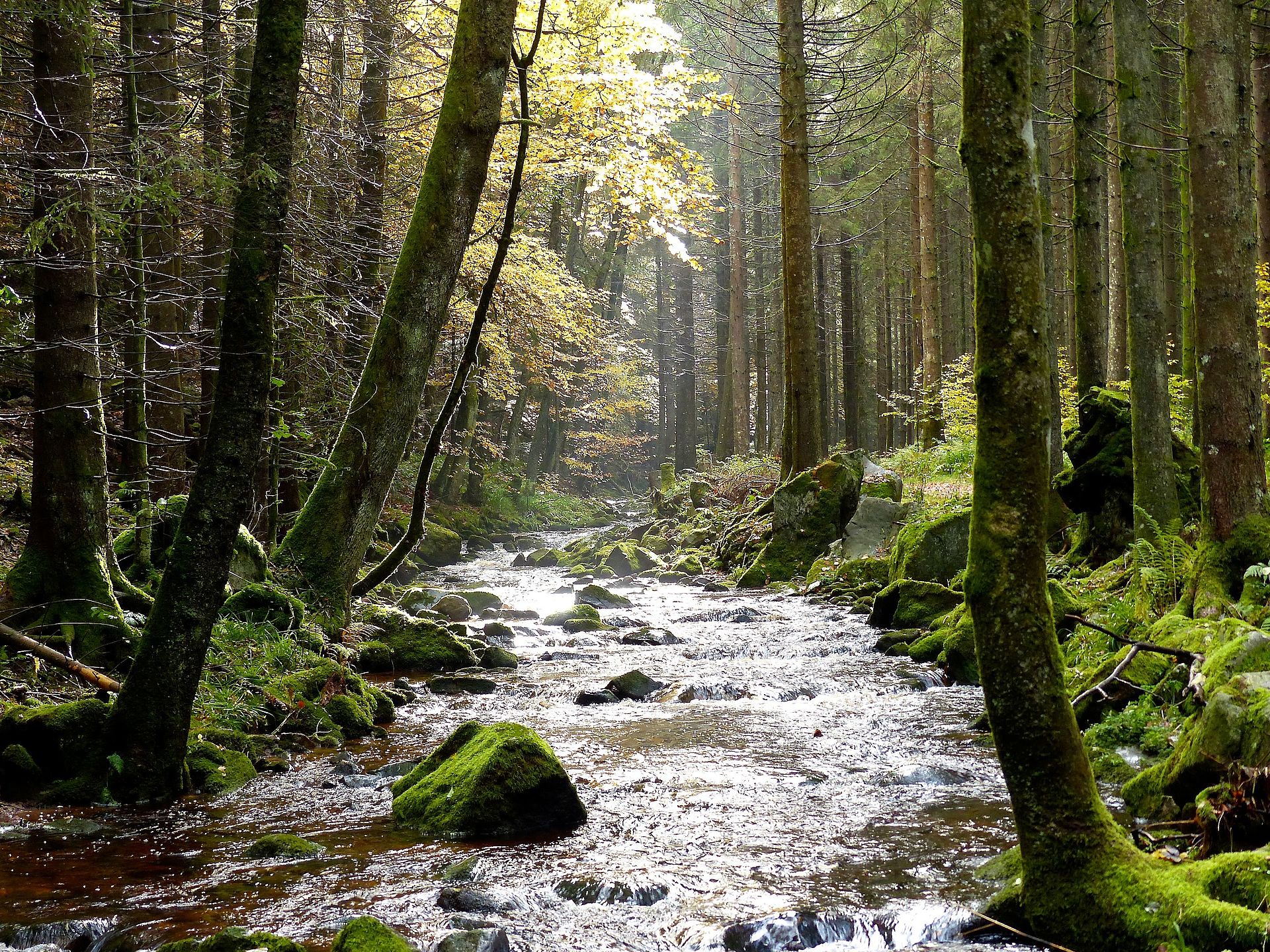 Bernstein , Germany